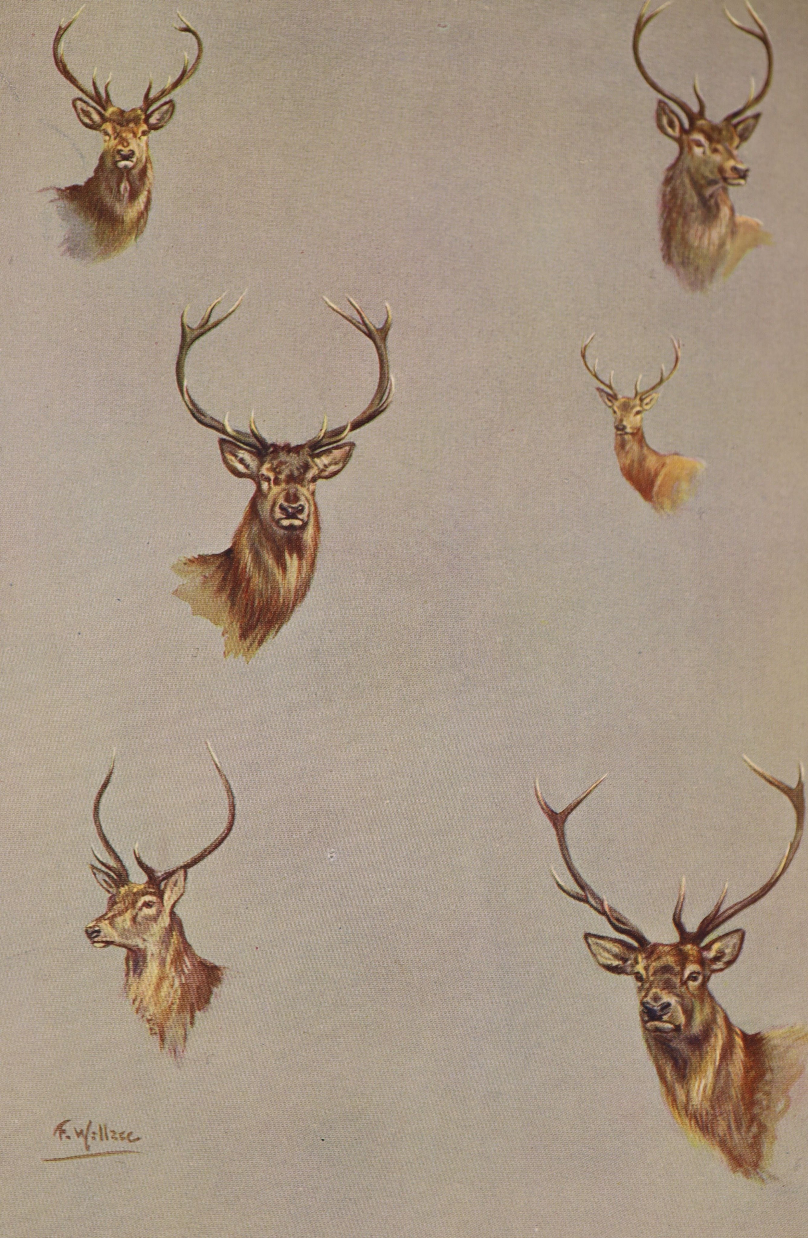 Pollard, Hugh B. C. - The Gun Room Guide, illustrated with 14 full-page colour plates by Philip Rickman and H. Frank Wallace, qto, quarter vellum, number 127 of 225 signed by the author, Eyre and Spottiswoode, London, 19